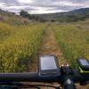 On the old narrow gauge railroad bed.