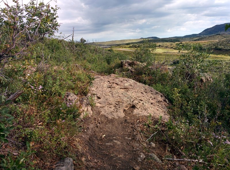 Nice rock obstacle.