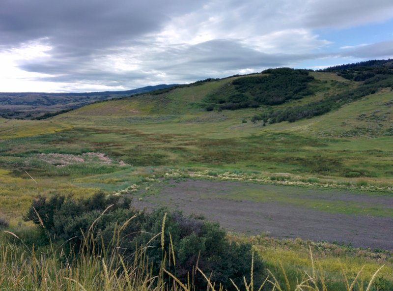 View from the trailhead.