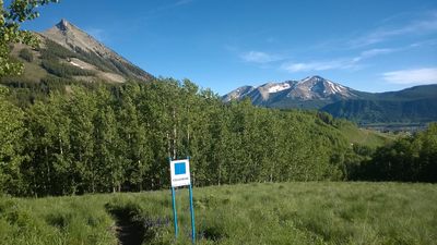 Columbine and Painter Boy crossing