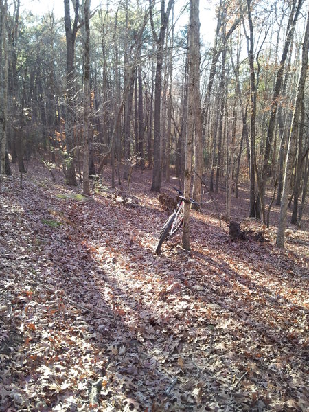 Leaves obscuring the trail.  Taken from bench at Monster Mile, looking clockwise down the trail, Late November, when leaves on the ground are at their peak.