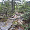 Once you get past some of the muck and mud, you are rewarded with beautiful dry rock gardens