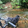 The trail crosses Red Run several times.  Some of these crossings are rideable and some are too steep and rugged.