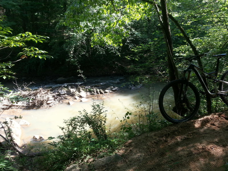 Small waterfall of Steele Creek along side the trail of Anne Springs Close Greenway