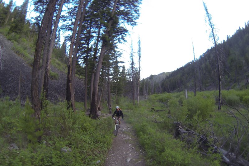 Cruising along Warm Springs Creek.