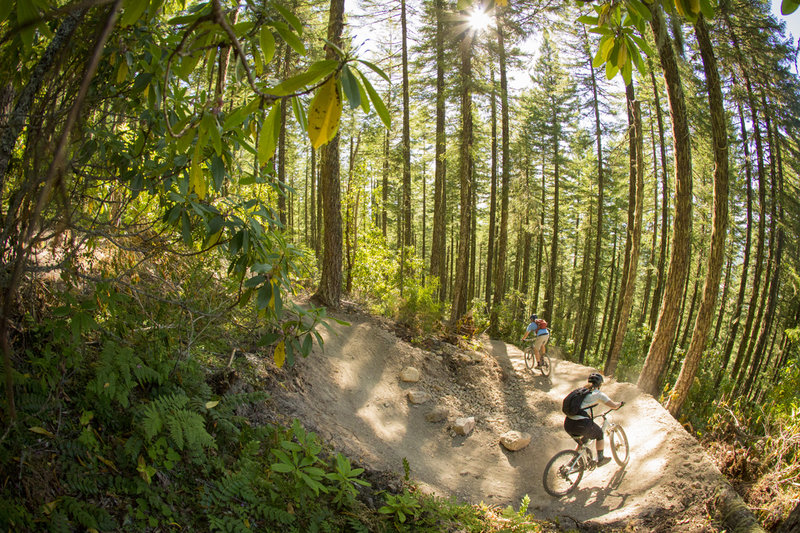 Big bermed turns on the newer section of Flat Creek