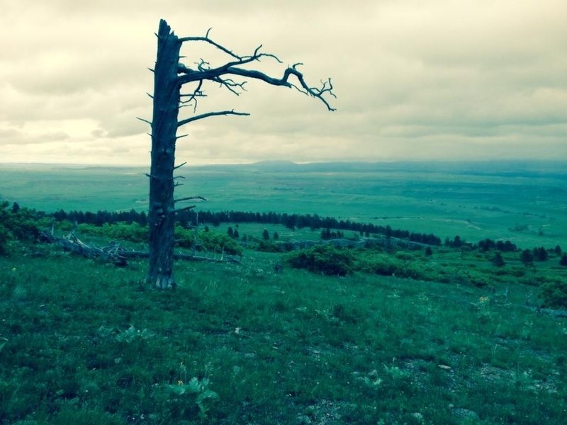 Looking East at Crow Peak photo by Ryan Cherveny