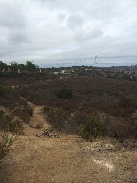 Top of Lagoon Trail looking back.