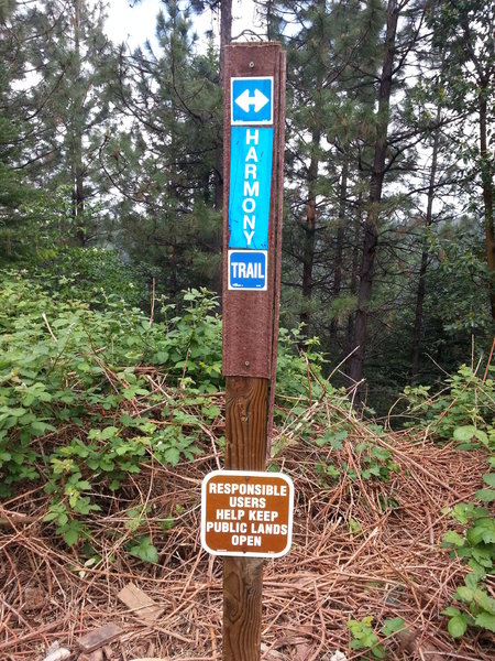 I know pics of signage are discouraged, but this sign speaks volumes does it not?  Peace, Love,"Harmony", and singletrack Coexistance.... Namaste