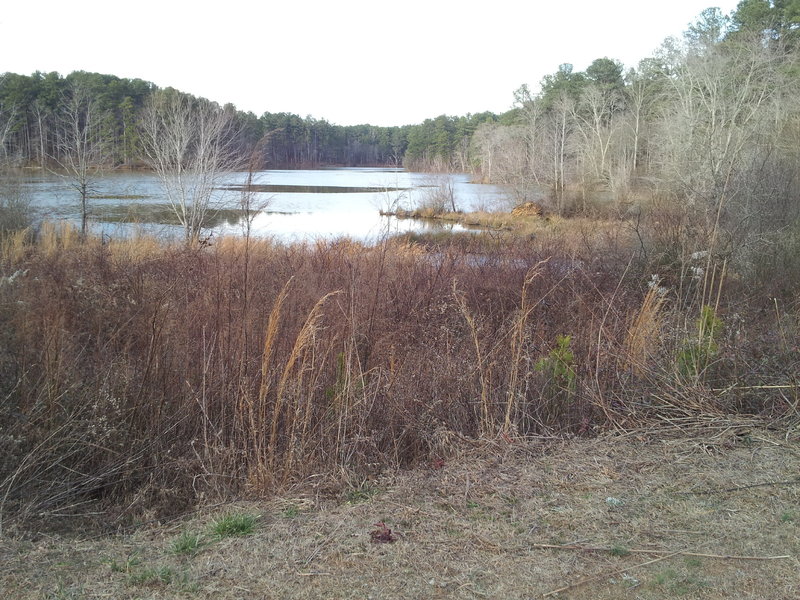 Ice around shores of lake.  Taken Jan 26, 2014.