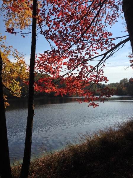 Lake Frank in the fall