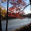 Lake Frank in the fall