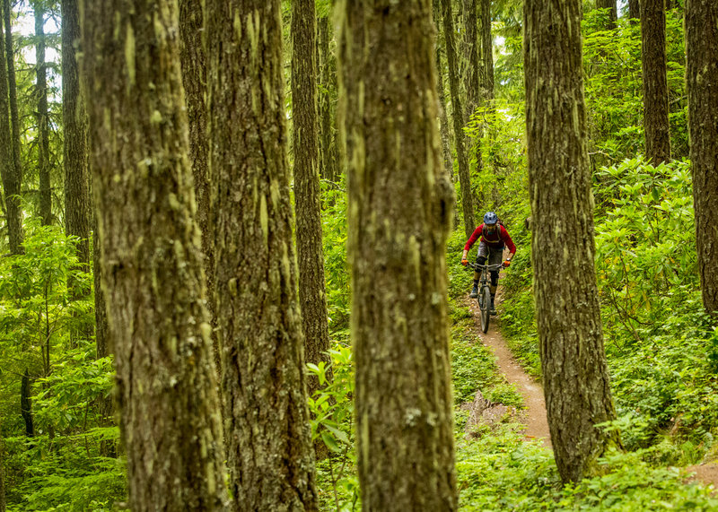 Through the trees on the very upper part of Larison Rock