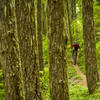 Through the trees on the very upper part of Larison Rock