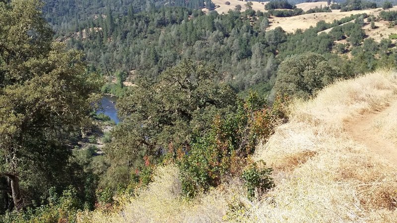 View of the American River and descent start