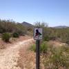 Maricopa Regional Trail marker. Watch for these as you ride this portion of the route.