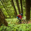 Larison Rock trail has many fast sections through the trees.