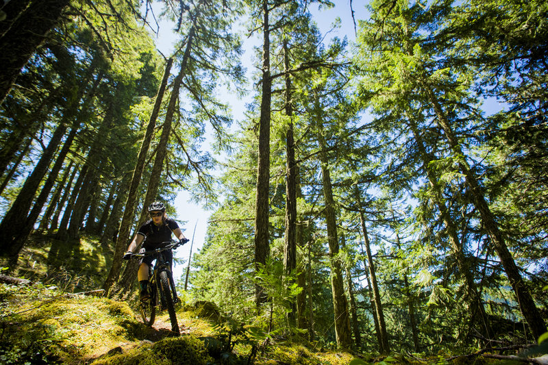 After a steep hike-a-bike, the spicy downhill beings on Deception Butte trail.