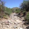 Trail through rocky wash; great place to practice balance and rock hopping.