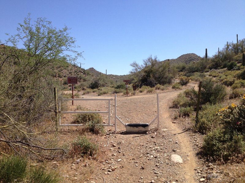 North entrance gate to Cave Creek Regional Park. Take the Go John Trail to the right. This trail is heavily used by hikers so be careful and courteous.