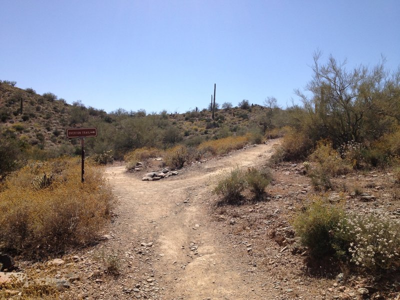 Junction of Go John Trail and Overton Trail; stay to the right and follow Overton Trail.