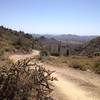 View from the summit of Overton Trail.