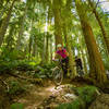 Deception Butte trail is steep and super shreddy.