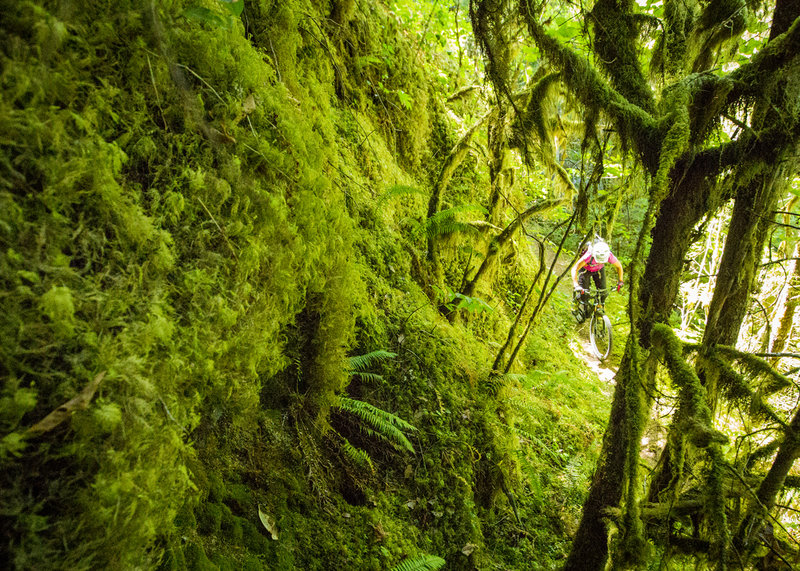 Riding narrow singletrack through lichen covered slopes on Deception Butte trail.