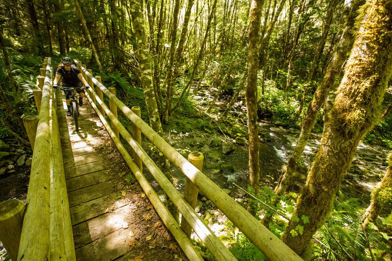 The last steep section of Deception Butte trail ends at bridge crossing.