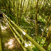 The last steep section of Deception Butte trail ends at bridge crossing.