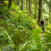 The finale of Deception Butte trail is mellow fun singletrack.