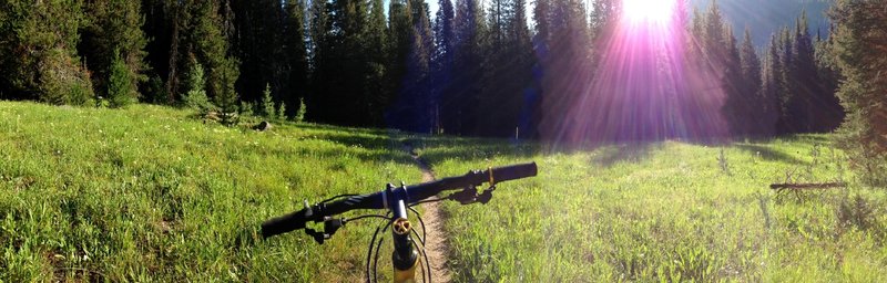 One of the several gorgeous open meadows the trail passes through. Something different than the dense forest singletrack.