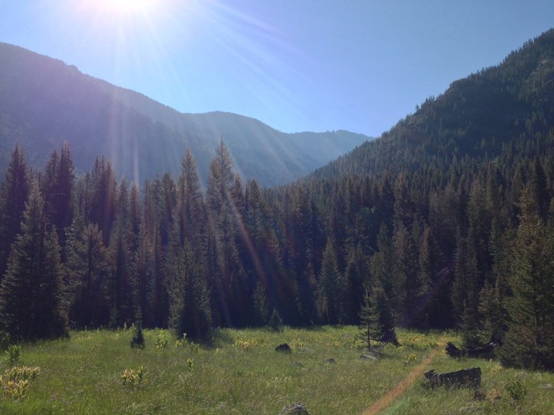 Looking up the Idler Creek canyon/drainage