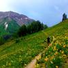 Fun fast downhill through fields of sunflowers.