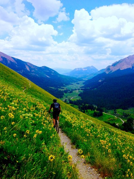 July wildflowers and stunning views of the valley.