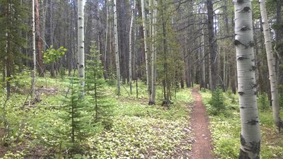 smooth trail after the rocky first 1/2 of 409