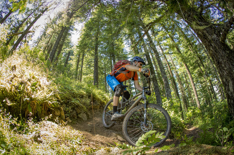 The beginning of a long series of switchbacks on the Lawler trail.