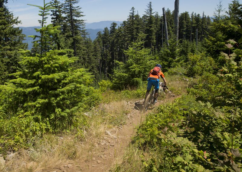 Lawler trail has plenty of fast and chunky sections.