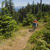 Lawler trail has plenty of fast and chunky sections.