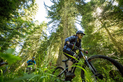 Upper reaches of the Young's Rock Trail (aka Moon Point)