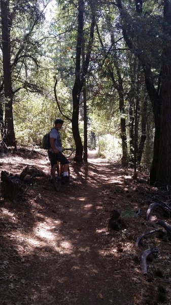 Woody, taking a break.  Long time rider of Boggs Forest and great help on trail information for the whole mountain.