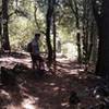 Woody, taking a break.  Long time rider of Boggs Forest and great help on trail information for the whole mountain.