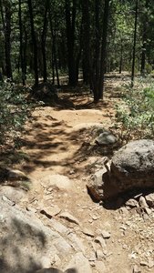 Fast fun rocky section