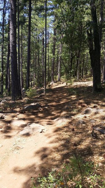 More rocky trail