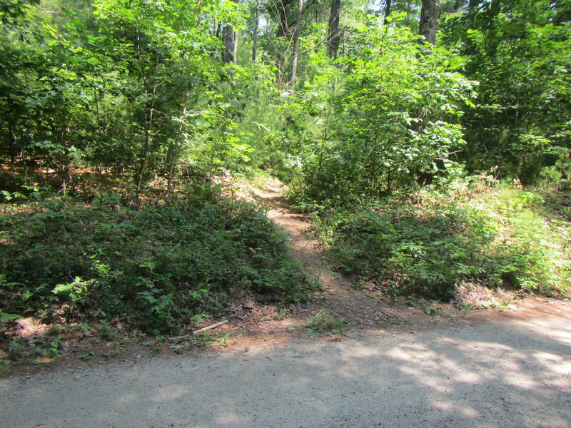 Start of Singletrack East of Prison Camp Rd