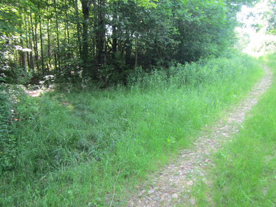 Oak Hill Lane