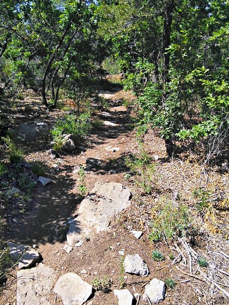 Mixture of chunk and dirt through the scrub oaks