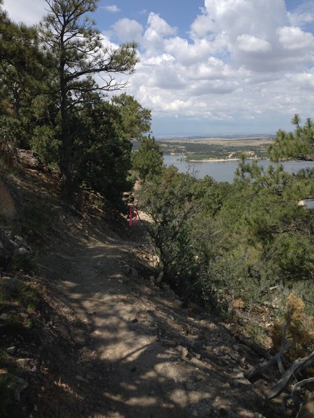 A view south along the trail corridor.