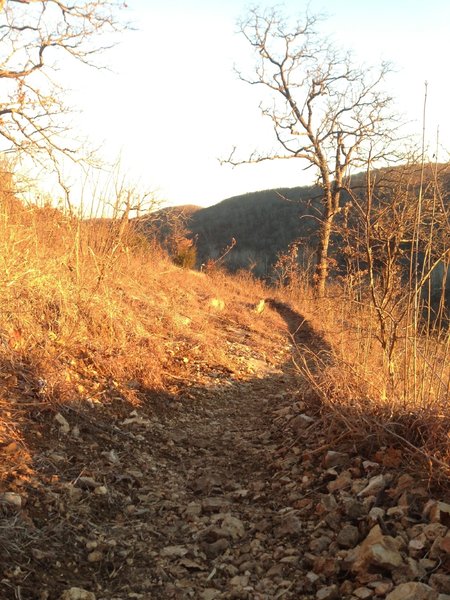 Busiek Purple Loop - starting the switch-back descent.