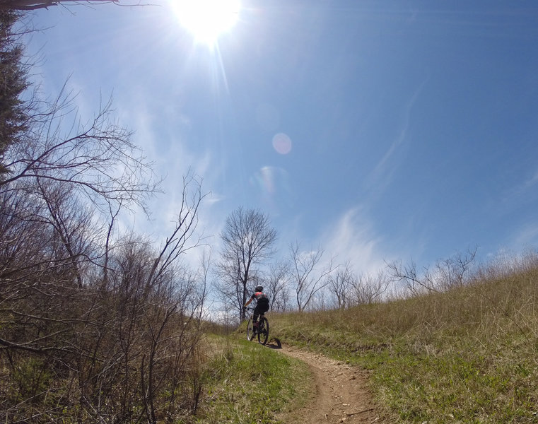 After exiting the pine forest, this little climb takes you out into the sunshine.